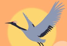 Bobi Wine: “A New Uganda” Belongs to All Ugandans Bobi Wine: “A New Uganda” Belongs to All Ugandans