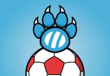 Back of the Net: English Football’s Ascent Across the League Back of the Net: English Football's Ascent Across the League