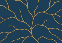 Roman Roads Remapped: Europe Finds Old Connections in New Lines Roman Roads Remapped: Europe Finds Old Connections in New Lines