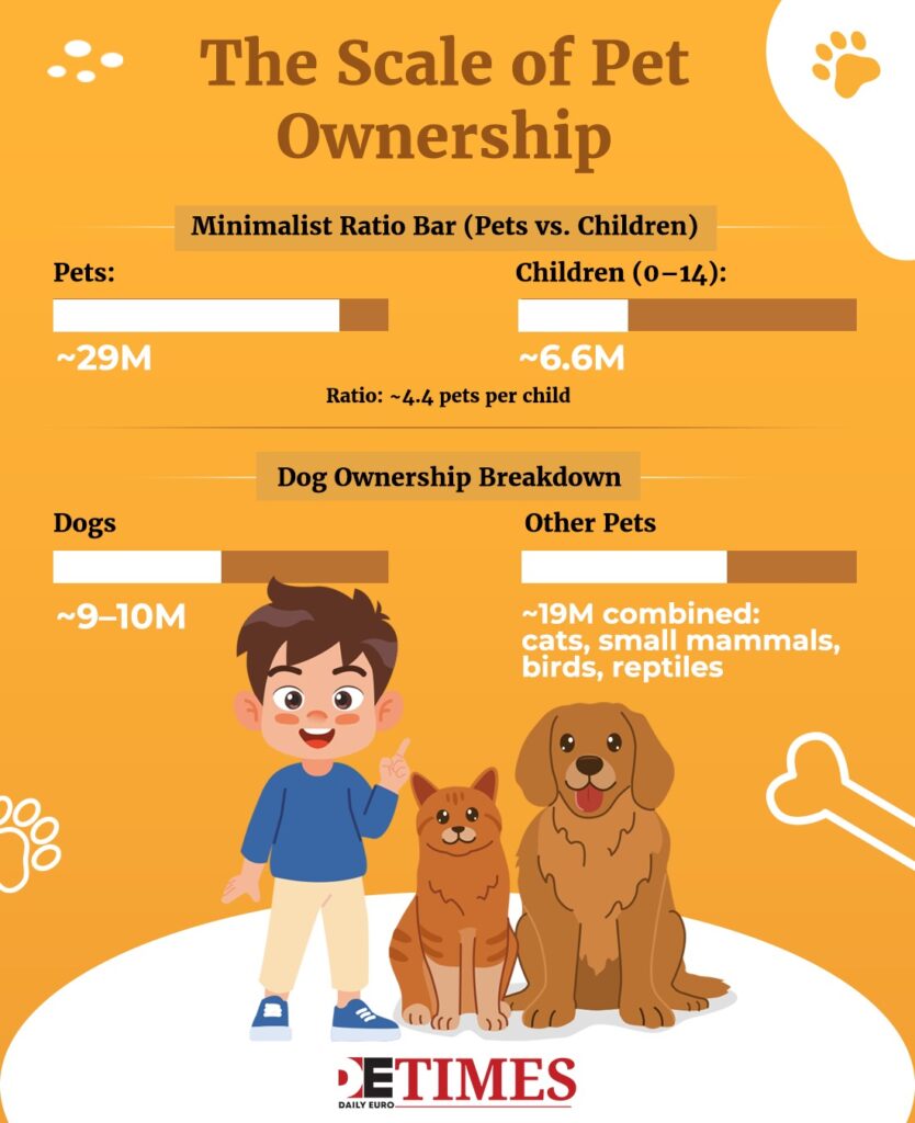 Spain's Street Paradox: Clean Reputation, Dirty Reality Daily Euro Times Spain's Street Paradox: Clean Reputation, Dirty Reality
