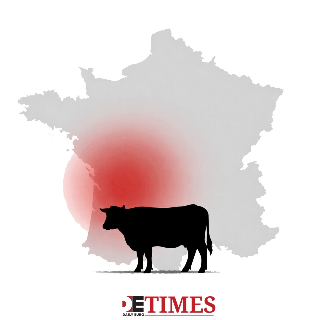 French Farmers Block Roads: Disease Control Reveals Europe's Meat Economy