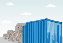 From the Plains to Mainland Europe: Botswana’s Elephant Ultimatum From the Plains to Mainland Europe: Botswana’s Elephant Ultimatum