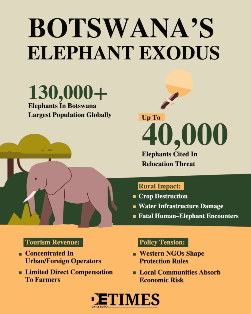 From the Plains to Mainland Europe: Botswana’s Elephant Exodus