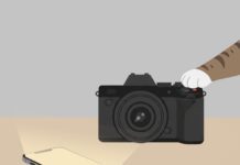 Rats Take Selfies: What One Art Project Says About Life Online Rats Take Selfies: What One Art Project Says About Life Online