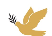 Board of Peace Divides Europe Board of Peace Divides Europe