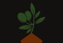 Caught in the Crosshairs: Gulf Countries Court a Multipolar Order Caught in the Crossfire: Gulf Countries Court A Multipolar Order