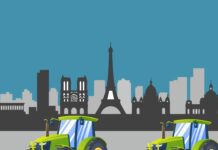 Losing the Plot: Why European Farmers are in Revolt Losing the Plot: Why European Farmers are in Revolt