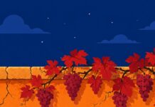 Armenia Audits Its Partners in a Neighbourhood on Fire Armenia Audits Its Partners in a Neighbourhood on Fire