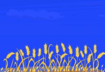 West Overlooks Russian Grain and Borders in Ukraine AWest Overlooks Russian Grain and Borders in Ukraine