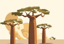 Sahel Grows Increasingly Hostile Towards Foreign Powers Sahel Grows Increasingly Hostile Towards Foreign Powers