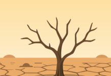Europe’s Rivers Run Dry as Cities Ration Water Europe's Rivers Run Dry as Cities Ration Water